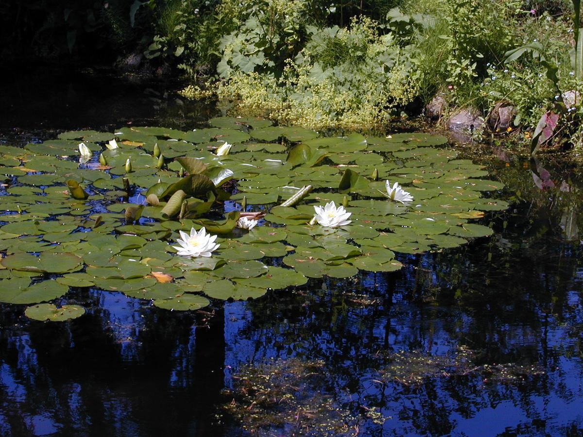 Seerose Alt Wendischthun Exterior photo